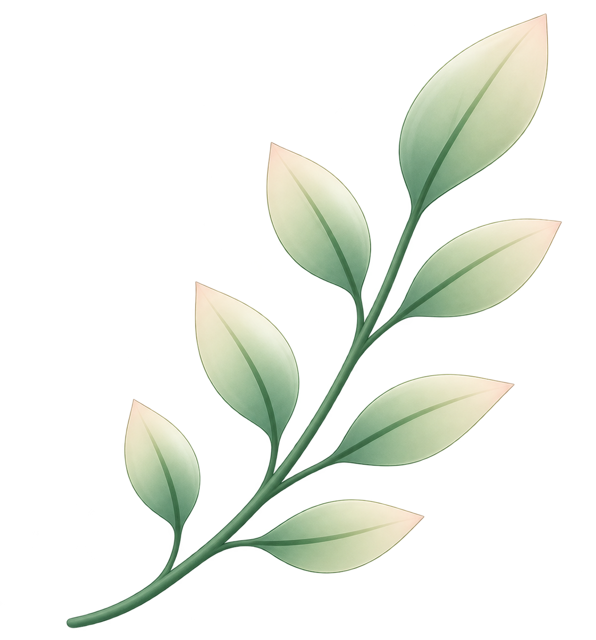 Leaf Branch